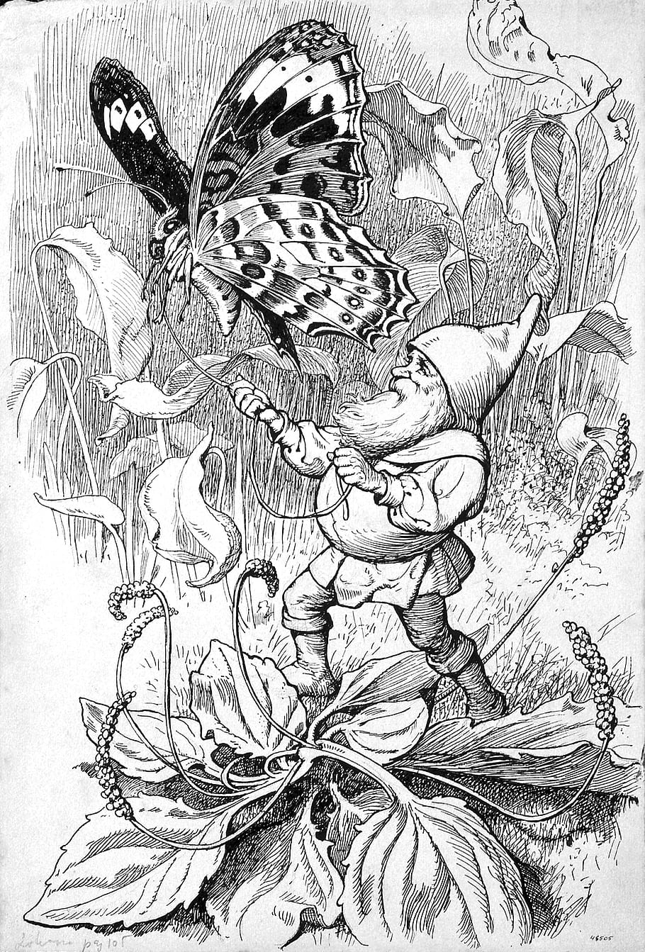 vinobraní, ilustrace, apel, Mestres, Španělsko, catalunya, motýl, Gnome, listy, Příroda, fantazie