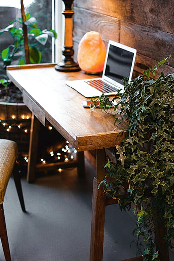 Himalayan salt lamp, laptop, wooden table, home office, cozy setup, remote work, plants, desk, indoor lighting, workspace, office decor