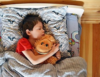 dream, baby, boy, sleeping With A Toy, vacation, kids, portrait, sweet Dream, a Child's Dream, bed, dreams
