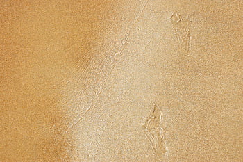 footprints In The Sand, feet Sand, sand, traces, legs, beach, track, reprint, barefoot, nature, holiday