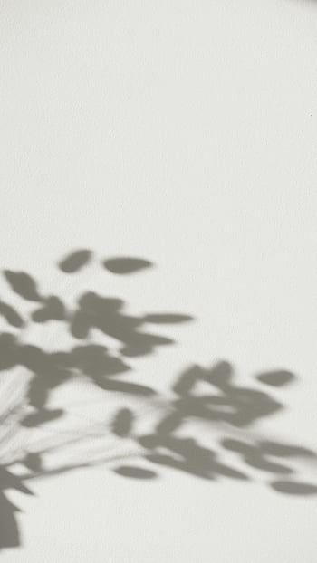ombra della pianta, ombre fogliari, sfondo chiaro, trama astratta, ombre delicate, ombra muro, consistenza morbida, Fotografia minimalista, ombre naturali, arte delle ombre