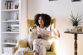 žena čtení, shiba inu, Útulná židle, domácí interiér, afro vlasy, psa, časopis, vnitřní zařízení, Jasný, Ranní obrázky, zůstat doma