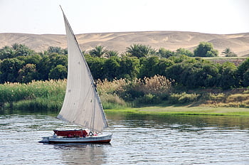 felucca, loď, plachty, Nil, Egypt, cestovat, voda, poušť