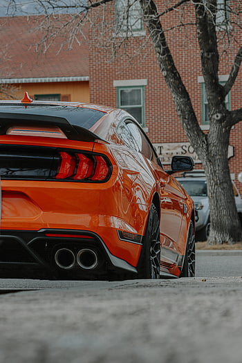 orange Ford Mustang, back view, sports car, urban street, parked, orange car, Mustang, Ford, rear view, city street, vehicle
