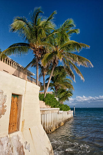 palm trees, white concrete building, Key West beachfront, ocean waves, tropical getaways, sunny beach, beachfront property, coastal scenery, ocean view, beach vacation, seaside architecture