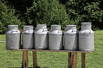 milk, milk Cans, can, vessel, agriculture, cow's Milk, milk Can, farm Yard, dairy Farming, food, dairy
