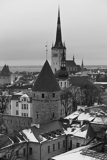 město, černobílý, budova, architektura, Estonsko, tallinn, státy