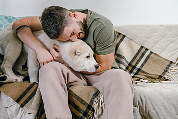 man hugging dog, cozy sofa, home setting, loving embrace, white dog, indoor photo, man and pet, comfortable setting, affectionate moment, pet owner, domestic scene