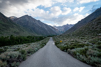rural, route, paysage, destination, Voyage, conduite, chaussée, asphalte, terrain, la nature, en plein air