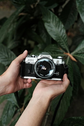 Canon AE-1, film camera, close-up, hands holding, lush green leaves, vintage camera, outdoor photography, analog camera, photography equipment, nature background, camera lens