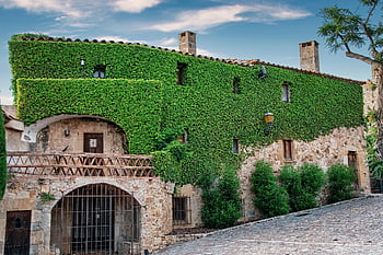 persone, pietra, casa, facciata, edera, natura, Spagna, tesoro, nuvole