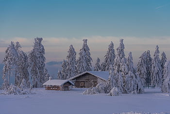 Haus, Winter, Schnee, Bäume, Dorf, kalt, winterlich, Nebel, draußen, Berg, Landschaft