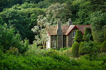 landsted, villa, indgroet, ensom, england, british, bygning, natur, palæ, hus, arkitektur