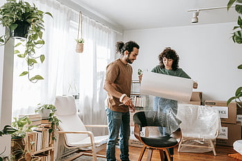 couple, wrapping, chair, bubble wrap, packing, boxes, bright, indoor setting, moving, plants, joyful