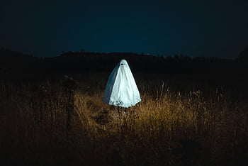 duch w białym prześcieradle, niesamowity duch, ciemne pole, nocne niebo, Obrazy Halloween, biały prześcieradło duch, sam na polu, noc, brązowe pole trawy, Upiorna scena, Upiorna postać