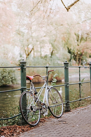 vintage bicycle, river bank, Berlin park, autumn foliage, scenic river, parked bicycle, metal barrier, cobblestone path, fall season, outdoor setting, nature backdrop