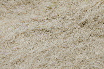 struktura povrchu, drobné čárky, vysoké rozlišení, detail, béžová vlákna, složité vzory, přírodní vlákna, Podrobná textura, makro fotografie, vzory vláken, textilní povrch