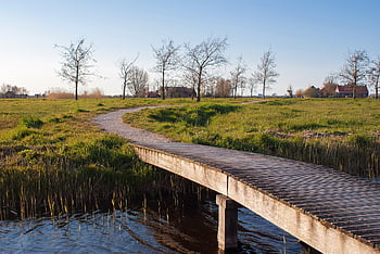 fält, bro, holländska, landsbygden, vattenväg, fördämning, väg, äng, träd, landskap, natur