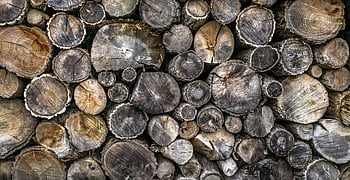 gray tree trunks, brown tree trunks, stacked firewood, wood textures, wood patterns, detailed view, firewood logs, unique textures, natural wood, outdoor woodpile, rustic background