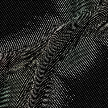 abstraktní digitální ilustrace, složité textury, dynamické vlnové vzory, plynulý design, abstraktní umělecká díla, digitální umění, moderní umění, moderní design, vizuální umění, digitální ilustrace, abstraktní vzory