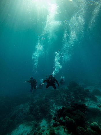 scuba divers, blue ocean, Zanzibar sea, ocean depths, underwater exploration, vibrant ocean life, scuba diving, ocean bubbles, underwater photography, marine life, deep sea diving