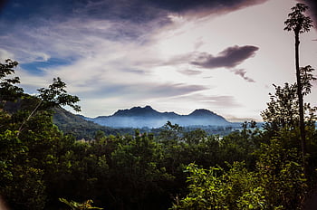 scenic view, mountain, cloudy sky, misty mountains, lush forest, dramatic sky, breathtaking view, natural landscape, outdoor scenery, nature photography, forest view