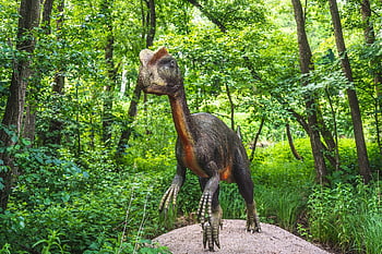 dinosaurus, dinosauří park, Modelka, prehistorie, prehistorický, zvíře, dravec, gad, zuby, nebezpečný, lov
