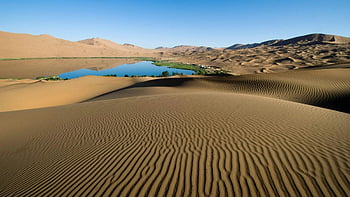 desert, sand dunes, oasis, blue sky, desert landscape, water body, desert scenery, natural beauty, desert environment, desert view, desert oasis