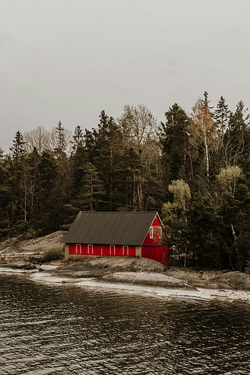 wooden house, river, forest, cozy red cabin, tranquil forested shoreline, Stockholm, Sweden, lakeside cabin, nature retreat, scenic landscape, waterfront property