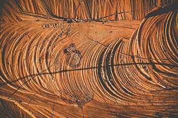 desert tracks, vehicle tracks, dry desert, hot desert, aerial view, intricate patterns, textured surface, warm earthy tones, desert surface, abstract view, desert landscape