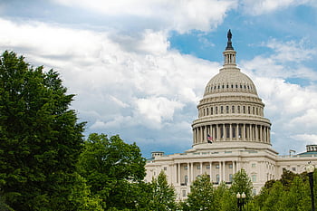 costruzione del capitello degli Stati Uniti, Washington DC., noi. Campidoglio, Vista iconica, alberi lussureggianti, cupola del capitol, Architettura americana, edificio governativo, punto di riferimento storico, Washington Landmark, cielo blu