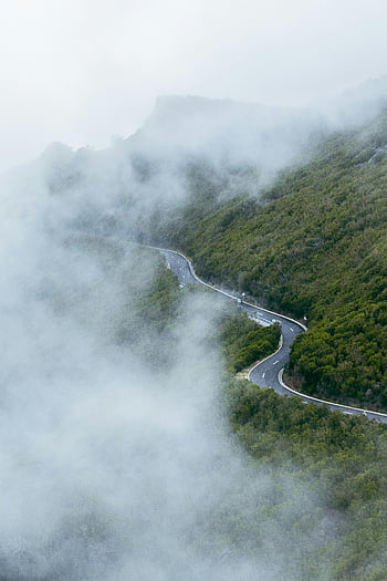 nubes sobre la carretera, colina en el bosque, vista aérea, camino sinuoso, bosque brumoso, santana, madeira, Portugal, carretera de montaña, paisaje de niebla, paseo panorámico