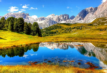 montagne, Lago sereno, vegetazione lussureggiante, chiaro cielo blu, alberi vicino all'acqua, riflessione di montagna, paesaggio tranquillo, bellezza naturale, scenario all'aperto, ambiente pacifico, vista alpina