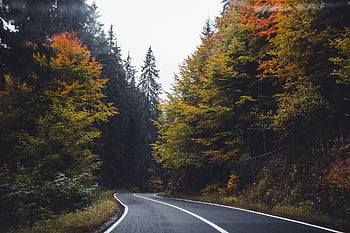 road, beautiful Nature, wallpaper Hd, highway, desktop Backgrounds, nature Wallpaper, windows Wallpaper, laptop Wallpaper, trees, asphalt, free Background