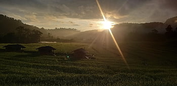 Příroda, čerstvý, Thajsko, cestovat, volno, venkovní, Asie, krajina, osvěžující, dovolená, turismu