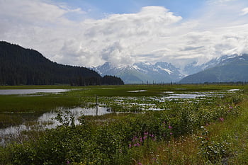 poloostrov kenai, Příroda, Aljaška, hora, divočina, usa, scénický