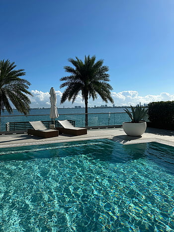 luxurious seaside pool, palm trees, refreshing poolside view, summer escape, seaside view, poolside lounge, tropical setting, ocean view, luxury vacation, beachfront property, seaside relaxation