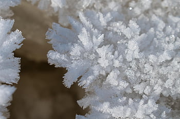 snow, nature, winter, frost, crystal, snowflake, ice, macro, season