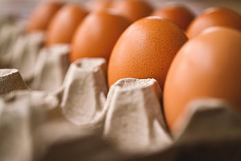 egg, egg Holder, reproduction, chicken Egg, food, storage, baking, cooking