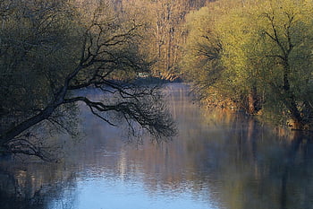 říční nivy, náhrdelník, Neckar mlha, ranní mlha, břeh řeky, aue, řeky, idyla, říční krajina, Krásná, odraz