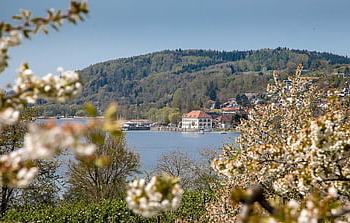 lake Constance, bodmann, ludwigsburg Germany, customs House, outlook, panorama, germany