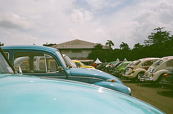 klassische Volkswagen Käfer, Autoshow im Freien, geparkte Autos, lebendige Anzeige, klassische Autos, Oldtimer, Autoshow, volkswagen käfer, Veranstaltung im Freien, klassisches Auto