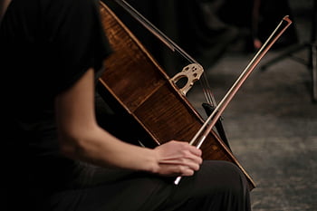 músico, contrabajo, de cerca, concierto, jugando, enfocado, instrumento, actuación musical, instrumento de cuerda, música en vivo, orquesta