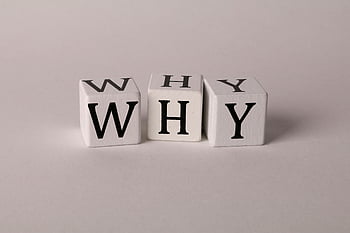 WHY, lettered dice, inquiry, curiosity, white text, white background, neutral background, close-up, concepts of inquiry, concepts of curiosity, dice spelling