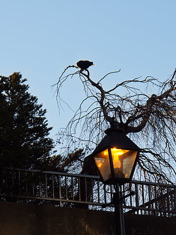 straat, licht, lamp, elektriciteit, macht, energie, hemel, stad, verlichting, post, elektrisch