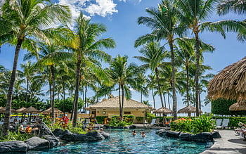 kokosová palma, tropický resort, palmy, plavecký bazén, jasné modré nebe, Relaxační scéna, prázdninové destinace, venkovní rekreace, tropické dovolené, Obrácení letoviska, plážový resort