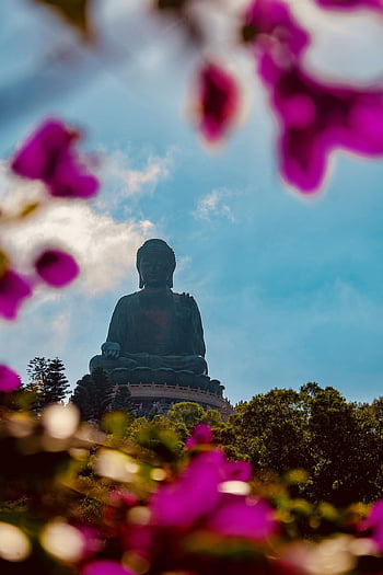 tan Tian Buddha, buddha, buddha Purnima, hong Kong, buddhism, wisdom, asia, buddhist, religious, meditation, temple