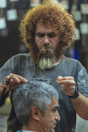 barber, barber Shop, men, haircut, stylist, hairstylist, iranian, persian, people, lifestyle, job