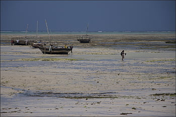 zanzibar, Indický oceán, tanzanie, Afrika, moře, Příroda, pláž, cestovat, svahilština, nebe, Dějiny