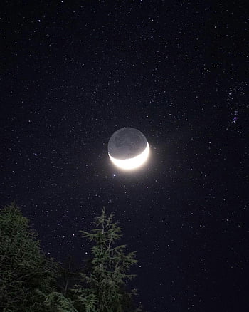 crescent moon, night sky, stars, star-filled sky, silhouetted trees, stunning view, clear sky, astronomy, celestial, night photography, moonlight